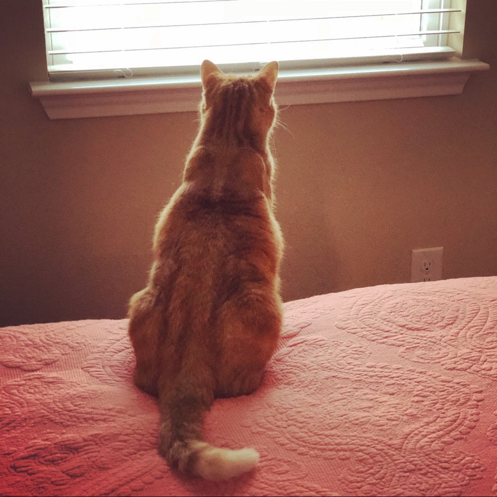 Meet your Posher, Ana Maria